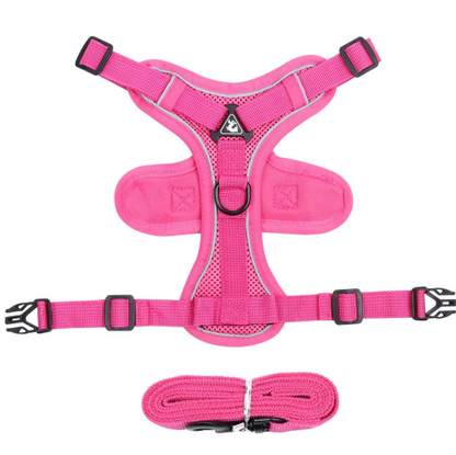 Set de Arnés y Correa “ColorMax”