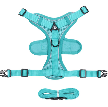 Set de Arnés y Correa “ColorMax”