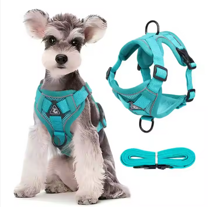 Set de Arnés y Correa “ColorMax”