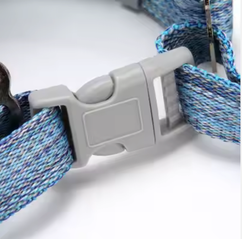 Set de arnes y correa "Soft multicolor"