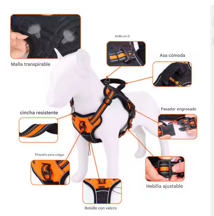 Arnés Deportivo "MaxFit Pro"