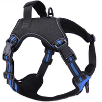 Arnés Deportivo "MaxFit Pro"