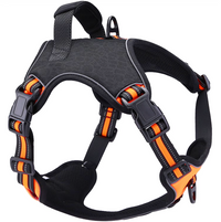 Arnés Deportivo "MaxFit Pro"