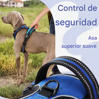 Arnés Deportivo "MaxFit Pro"