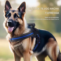 Arnés Deportivo -Active Fit-