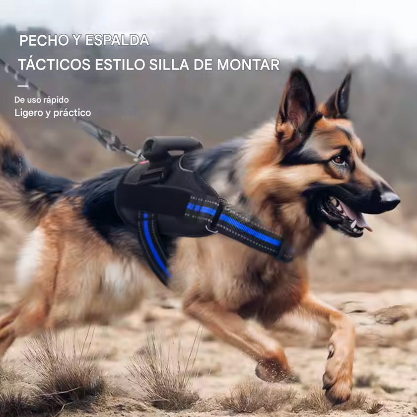 Arnés Deportivo -Active Fit-