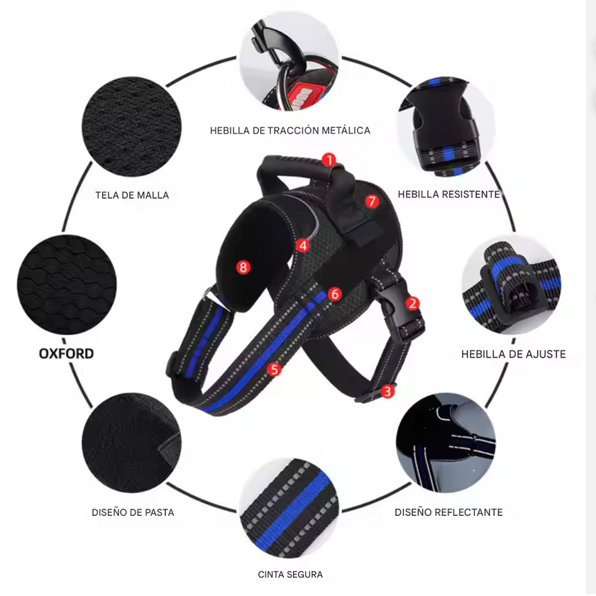 Arnés Deportivo -Active Fit-
