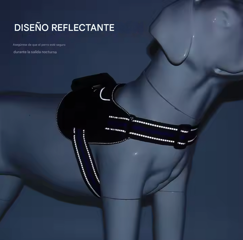 Arnés Deportivo -Active Fit-