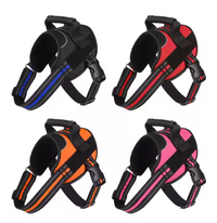 Arnés Deportivo -Active Fit-