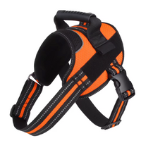 Arnés Deportivo -Active Fit-