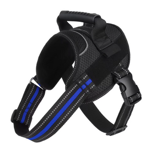 Arnés Deportivo -Active Fit-
