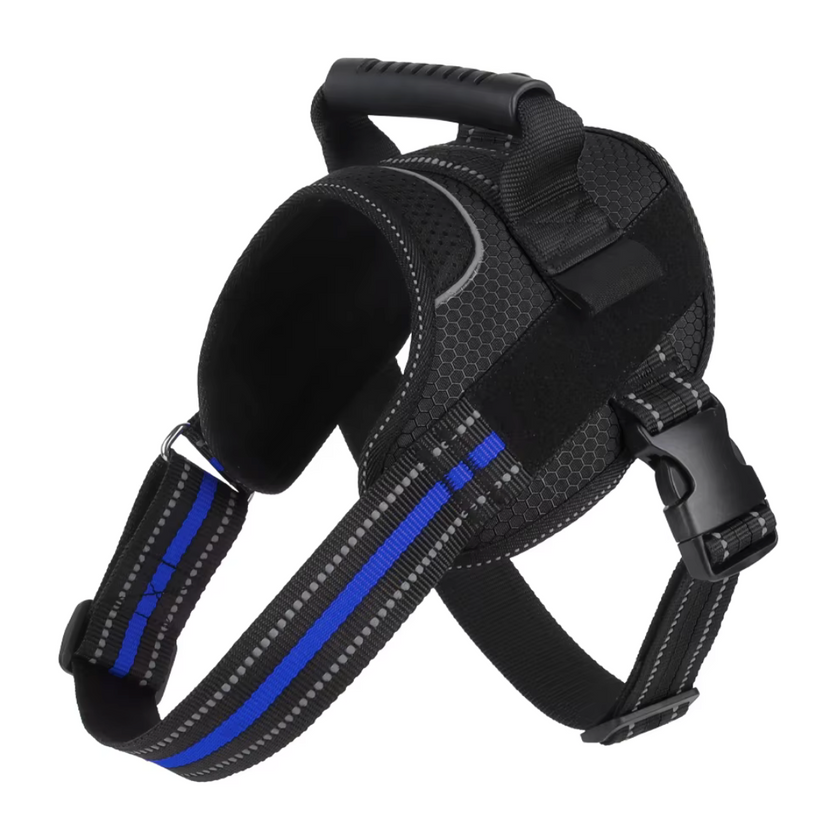 Arnés Deportivo -Active Fit-