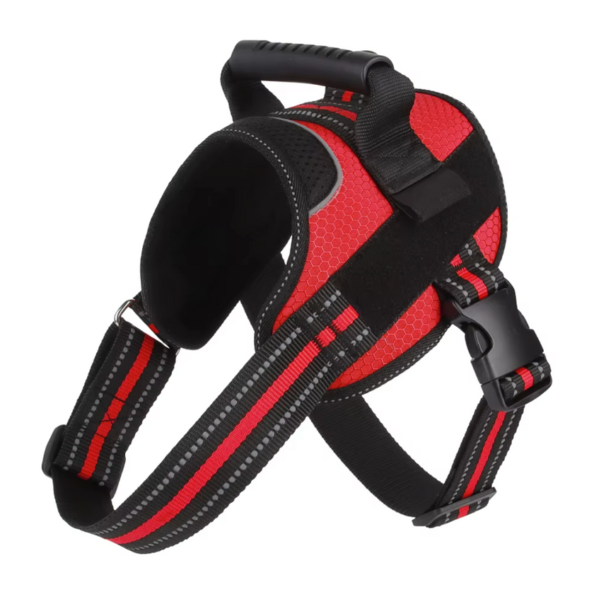 Arnés Deportivo -Active Fit-