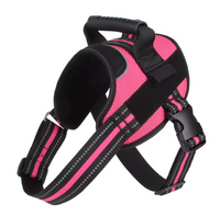 Arnés Deportivo -Active Fit-