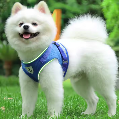 Set de arnés y correa "Reflectante Outdoor"