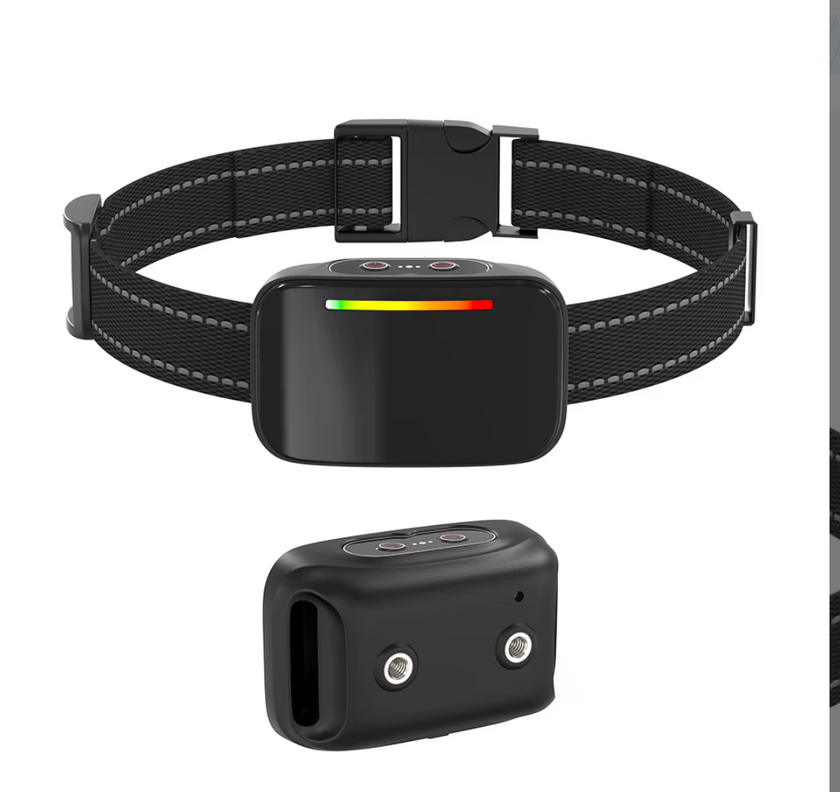 Collar de Entrenamiento Inteligente -Smart Trainer-