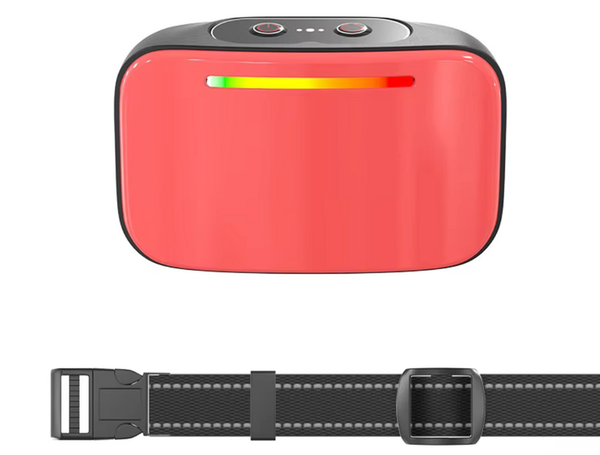 Collar de Entrenamiento Inteligente -Smart Trainer-