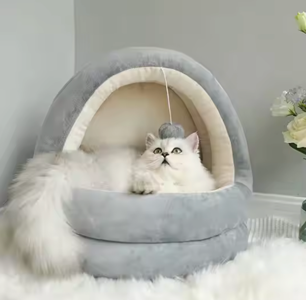 Cama Igloo "Cozy Cat"