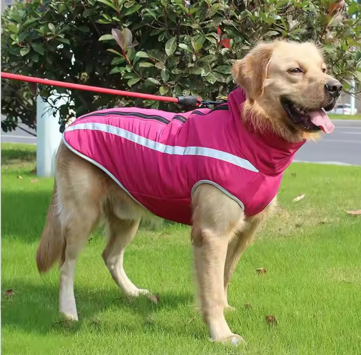 Chaleco Reflectante -Safety Paw-