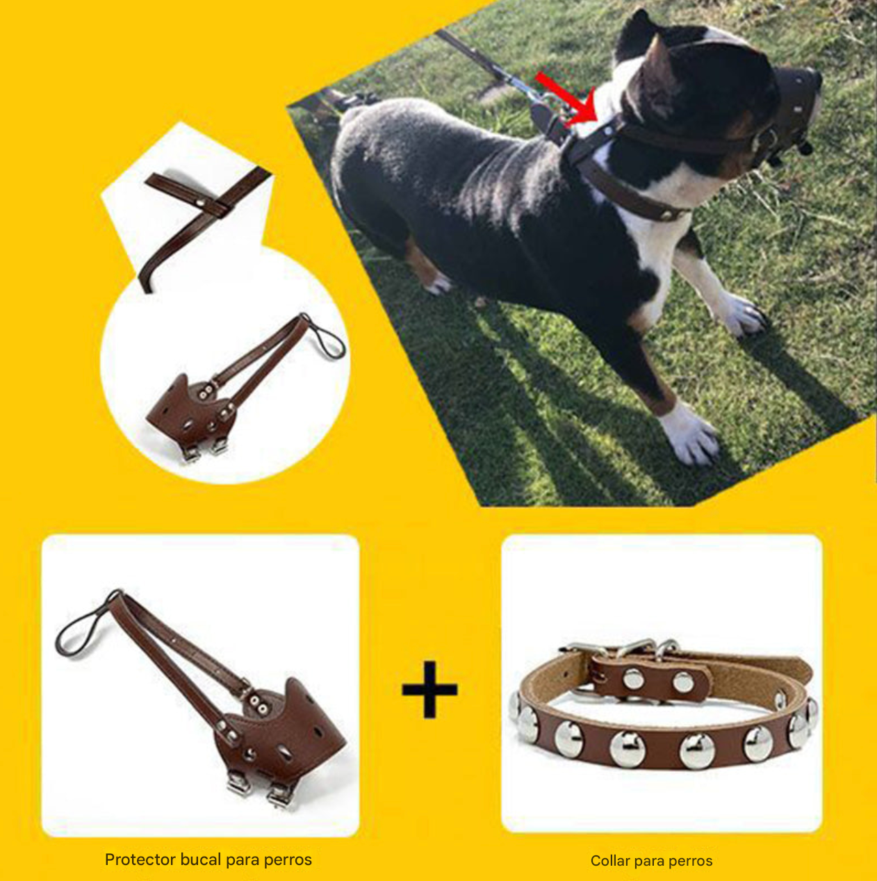 Bozal "Guard Muzzle"