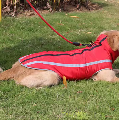 Chaleco Reflectante -Safety Paw-