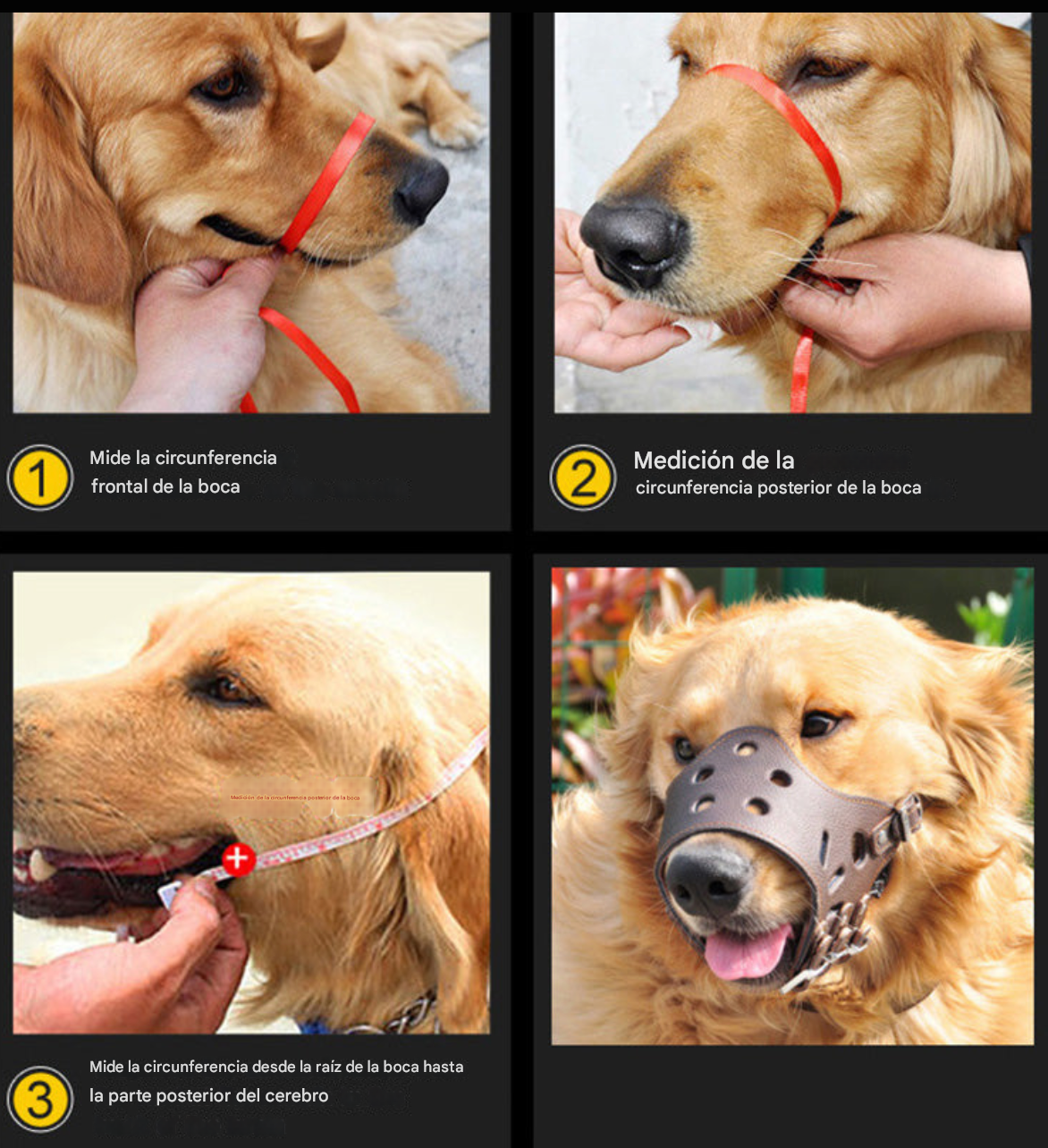 Bozal "Guard Muzzle"