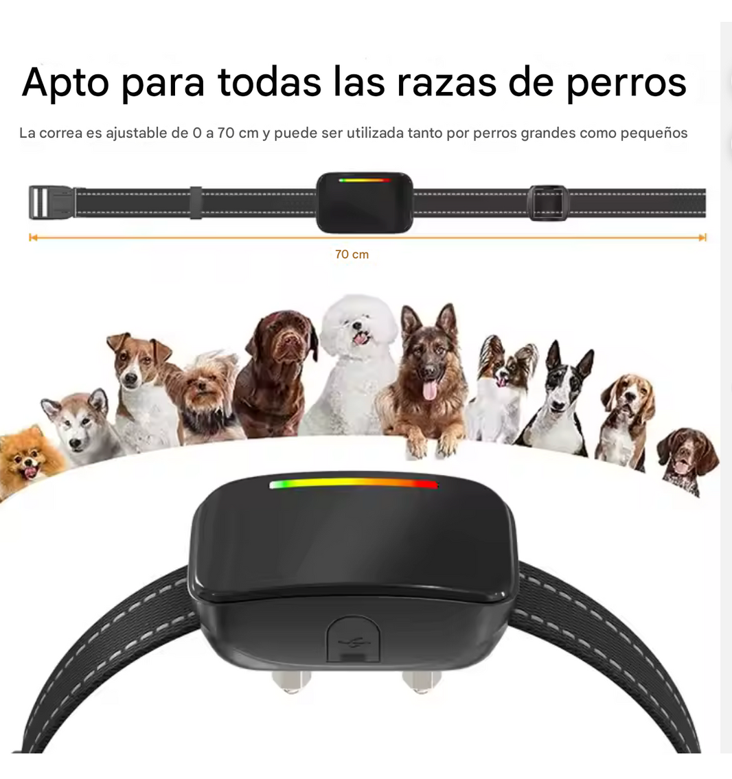Collar de Entrenamiento Inteligente -Smart Trainer-
