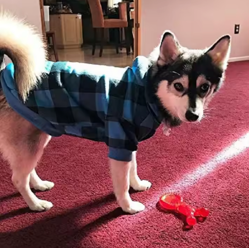 Chompa -Cozy Plaid-