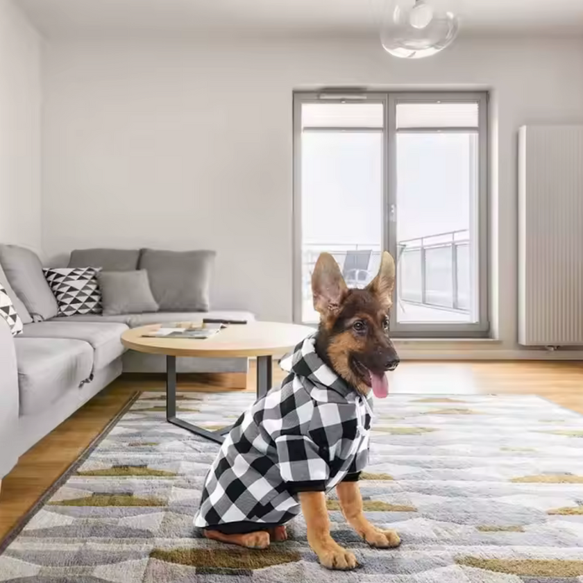 Chompa -Cozy Plaid-
