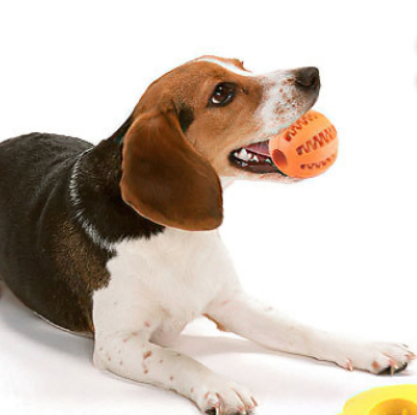 Pelota Dental "DentalChew Ball"