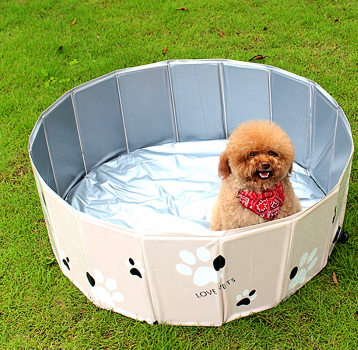 Piscina "Aqua Paws"