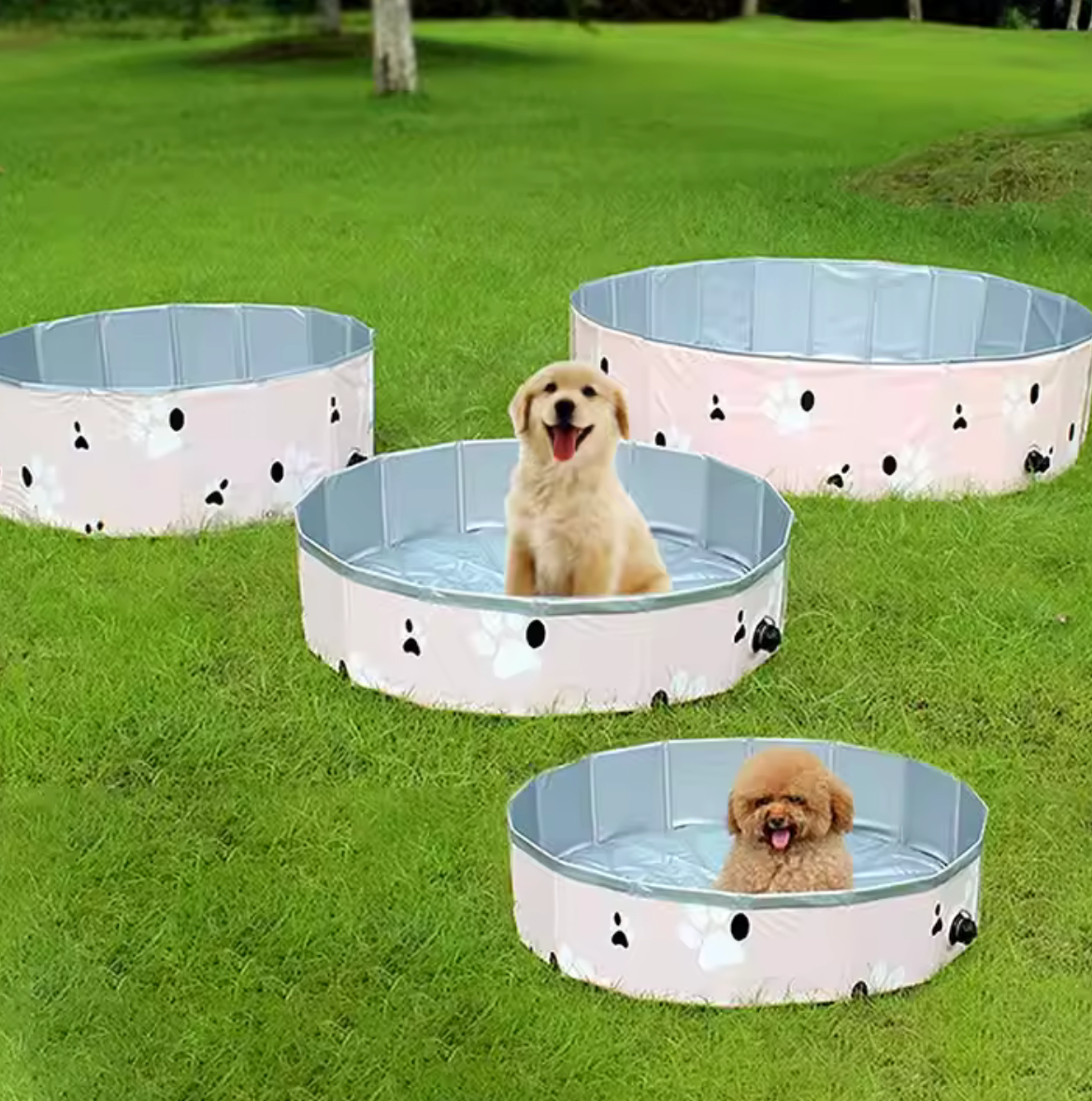 Piscina "Aqua Paws"