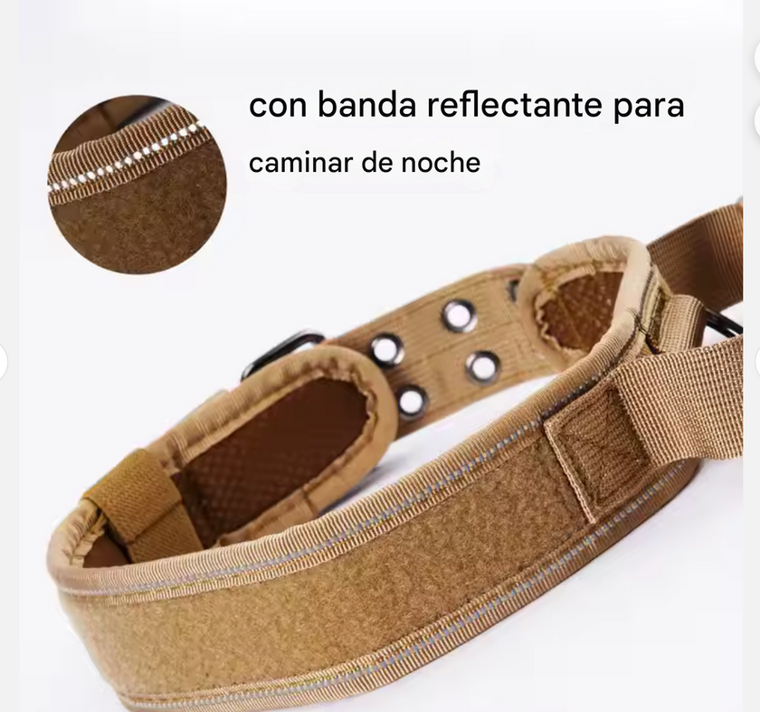 Collar de Seguridad -Canin -