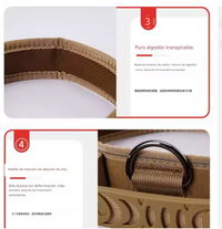 Collar de Seguridad -Canin -
