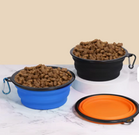 Plato Plegable Portátil "TravelBowl"