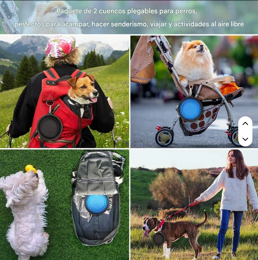 Plato Plegable Portátil "TravelBowl"