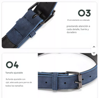 Collar Elegance Colors