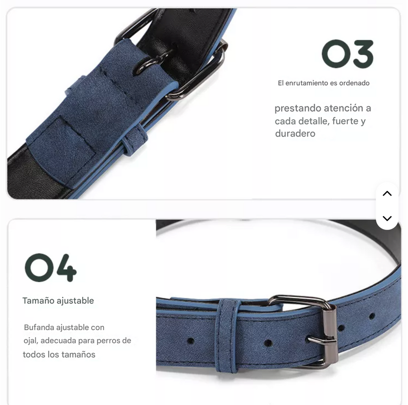Collar Elegance Colors