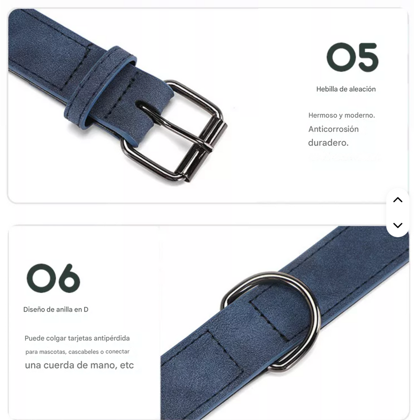Collar Elegance Colors