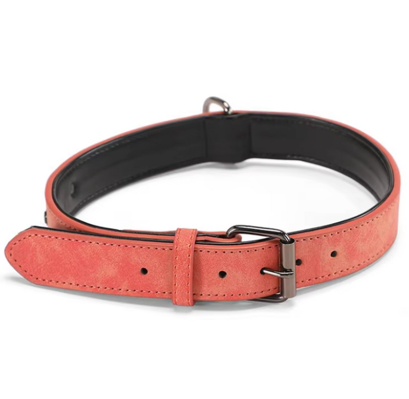 Collar Elegance Colors