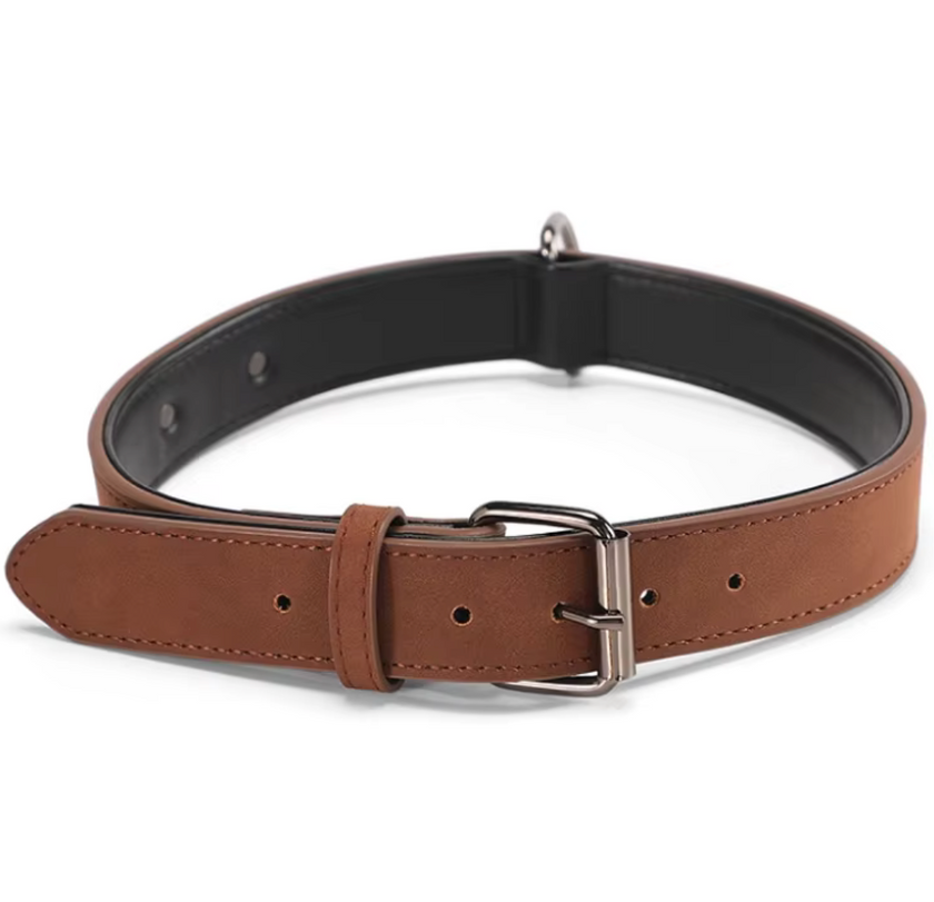Collar Elegance Colors