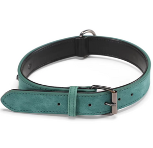 Collar Elegance Colors