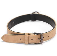 Collar Elegance Colors