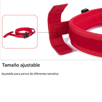 Collar Tactico -Tactical Pro-