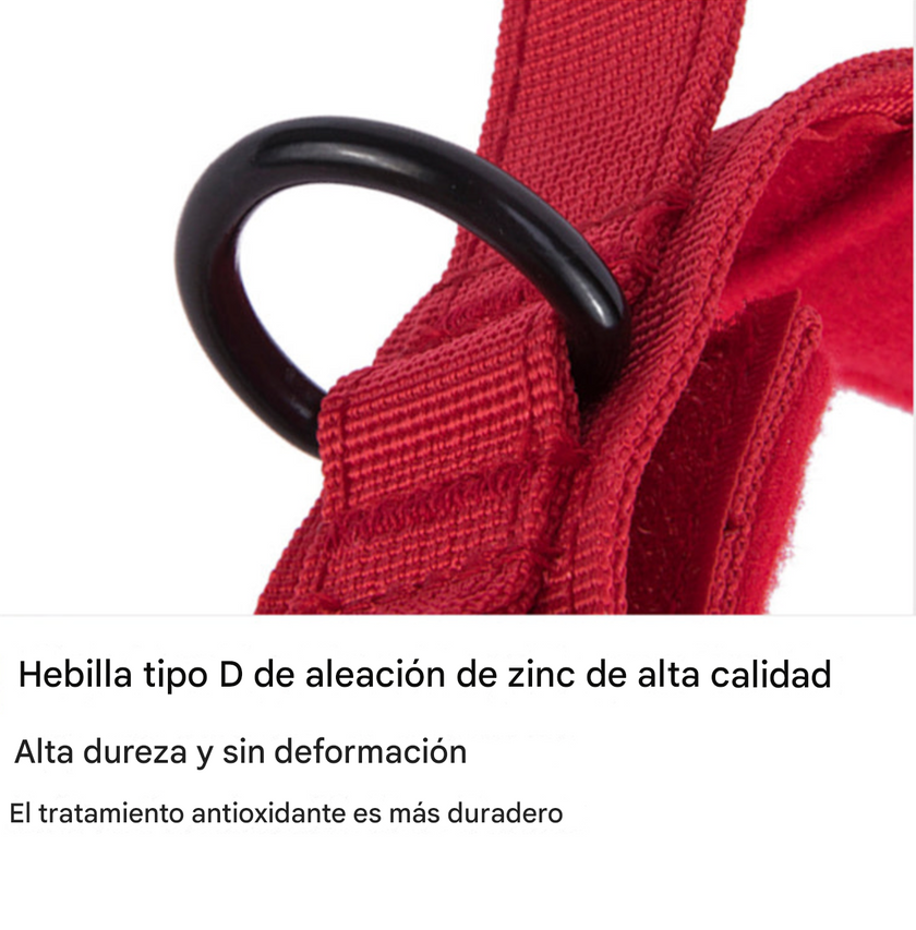 Collar Tactico -Tactical Pro-