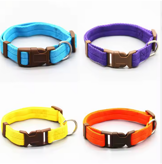 Collar "Vibrant Comfort"