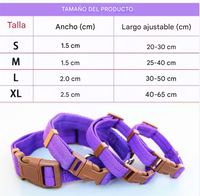 Collares “Vibrant Comfort”