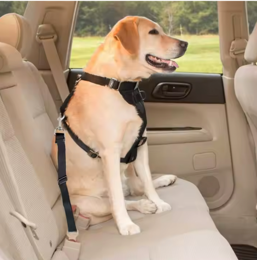Conector de Seguridad para Cinturón de Mascotas - "Pet Guardian"