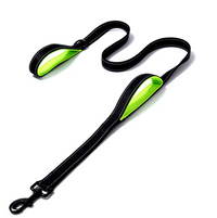 Correa de Paseo “Comfort Duo”