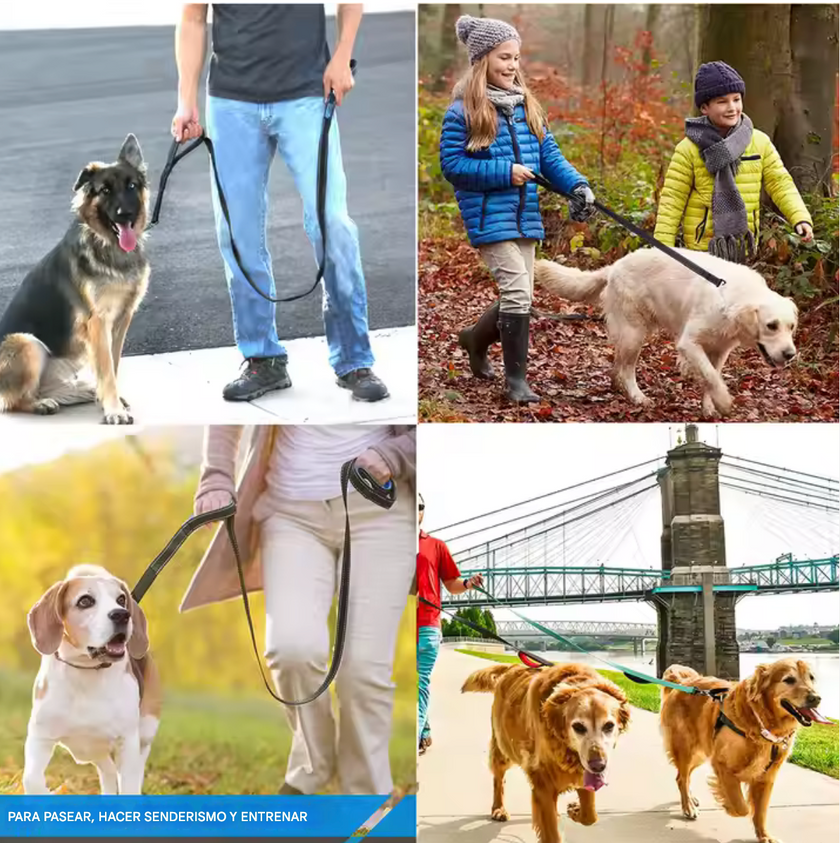 Correa de Paseo “Comfort Duo”